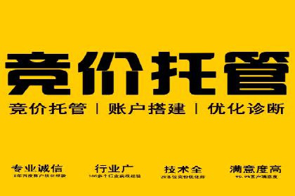 sem托管服务实战案例：精准定位，广告投放效果显著